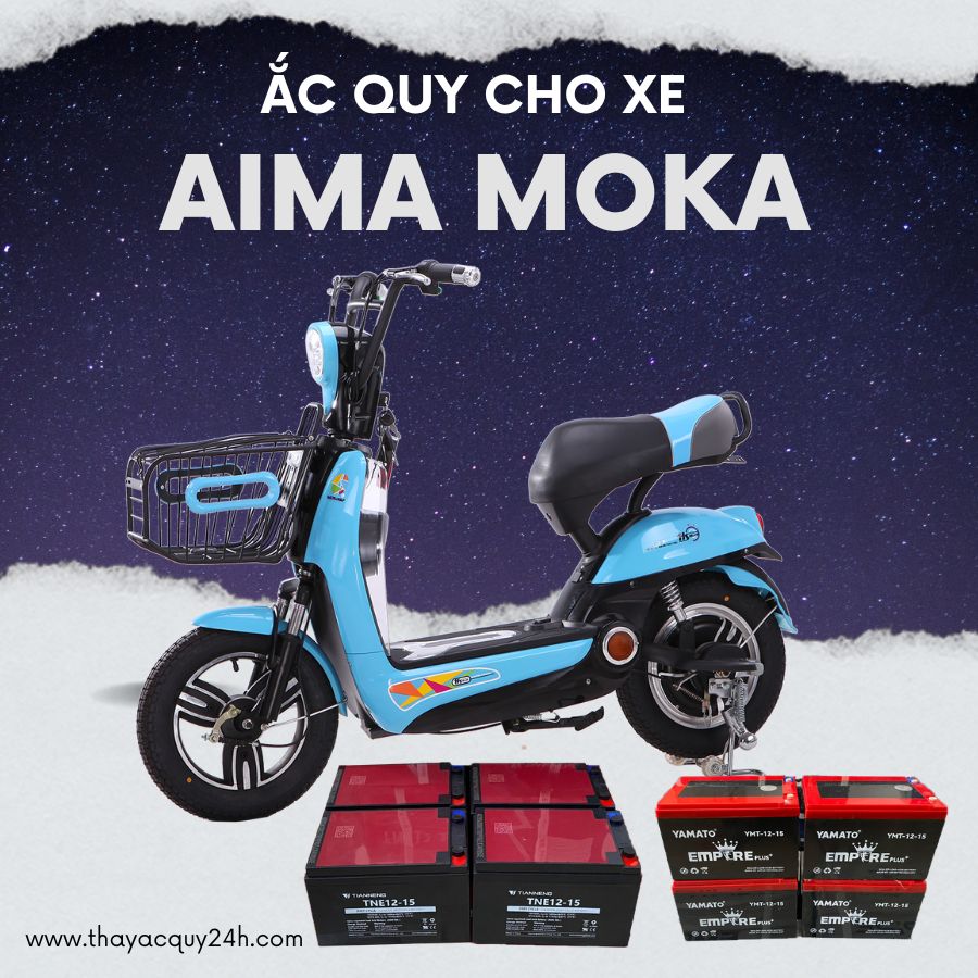 Ắc quy cho xe đạp điện Aima Moka