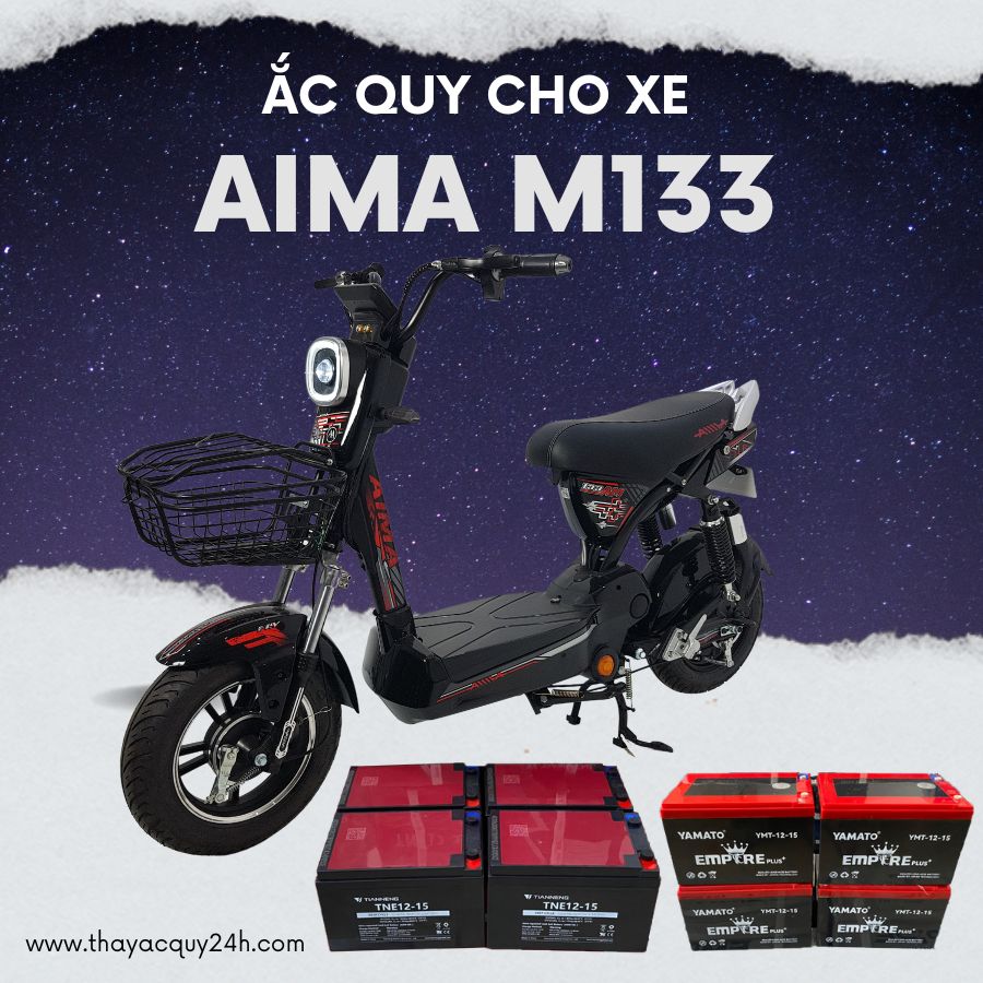 Ắc quy cho xe đạp điện Aima M133