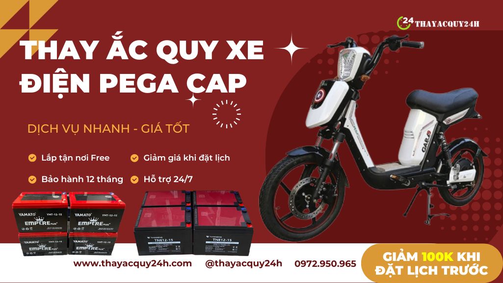 Thay ắc quy xe đap điện Pega Cap