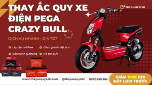 Thay ắc quy cho xe máy điện Pega Crazy bull